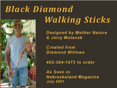 Black Diamond Willow Walking Sticks, Niobrara, Nebraska