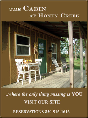 The Cabin at Honey Creek