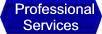 Auburn Professional Services